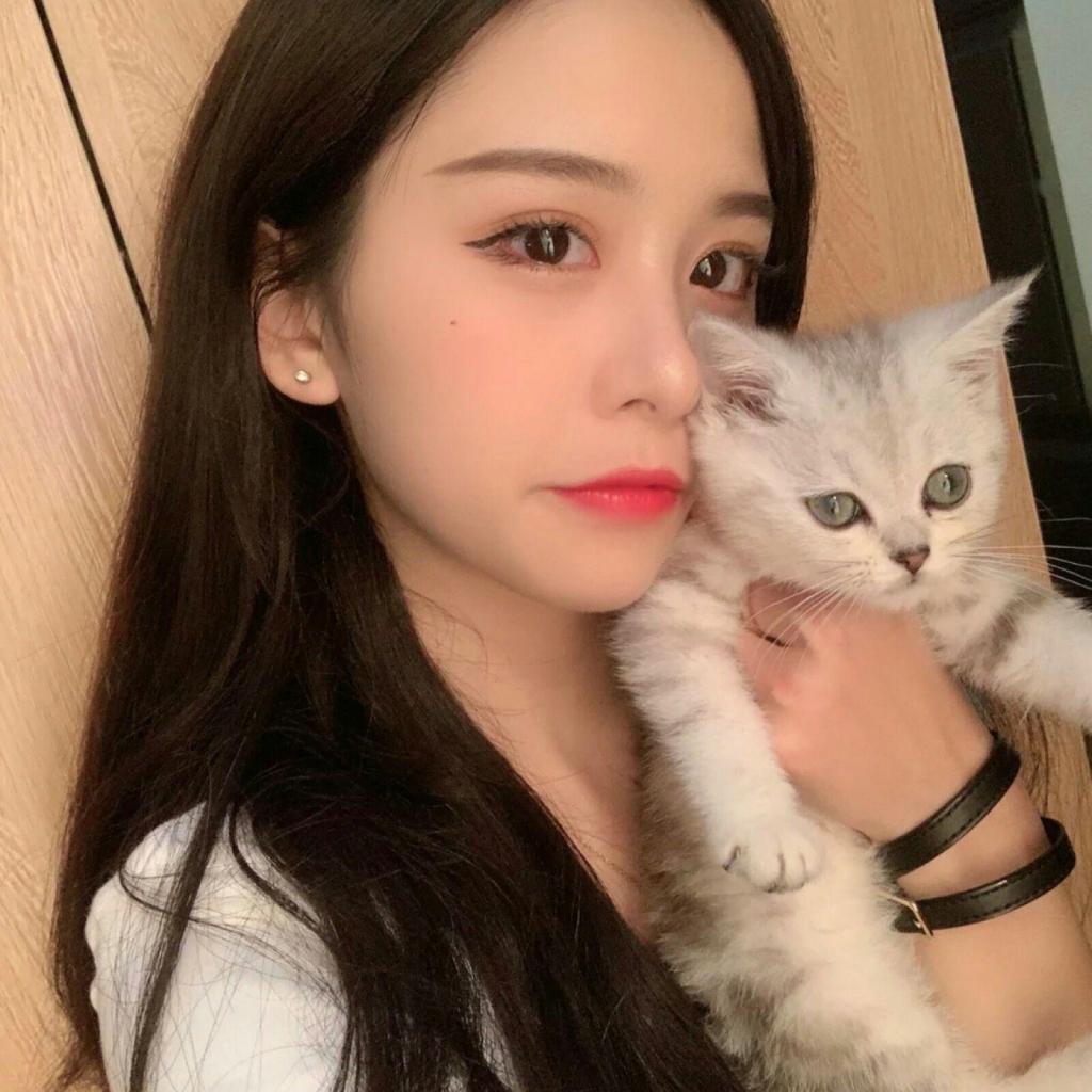 电子娱乐平台游戏大全