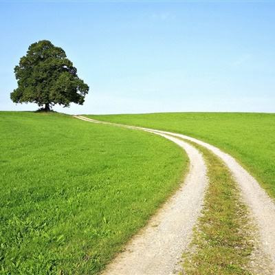 星空app官方网页截图